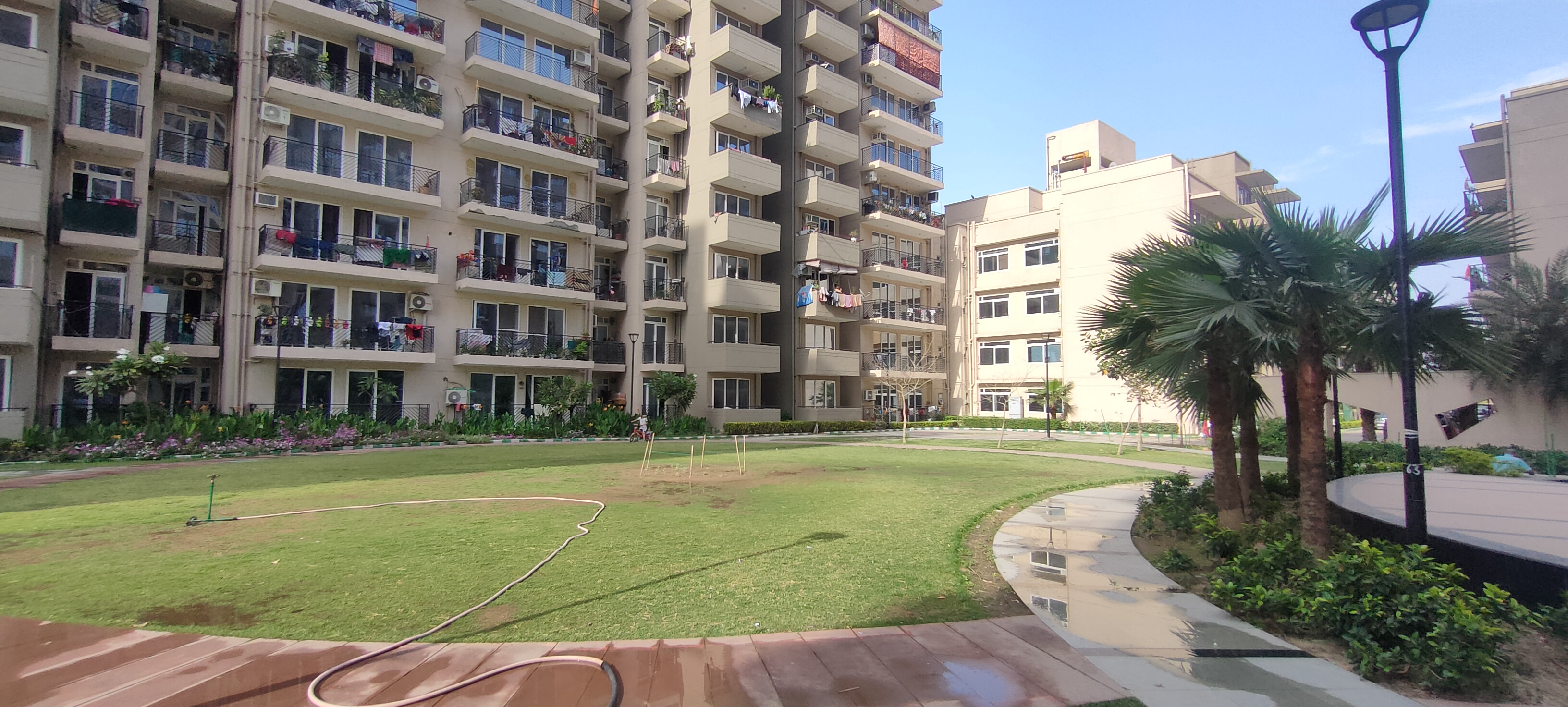 Grand IVA Signature Global